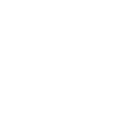 6633737301ad57b79621d870_NATI-logo wit-p-500